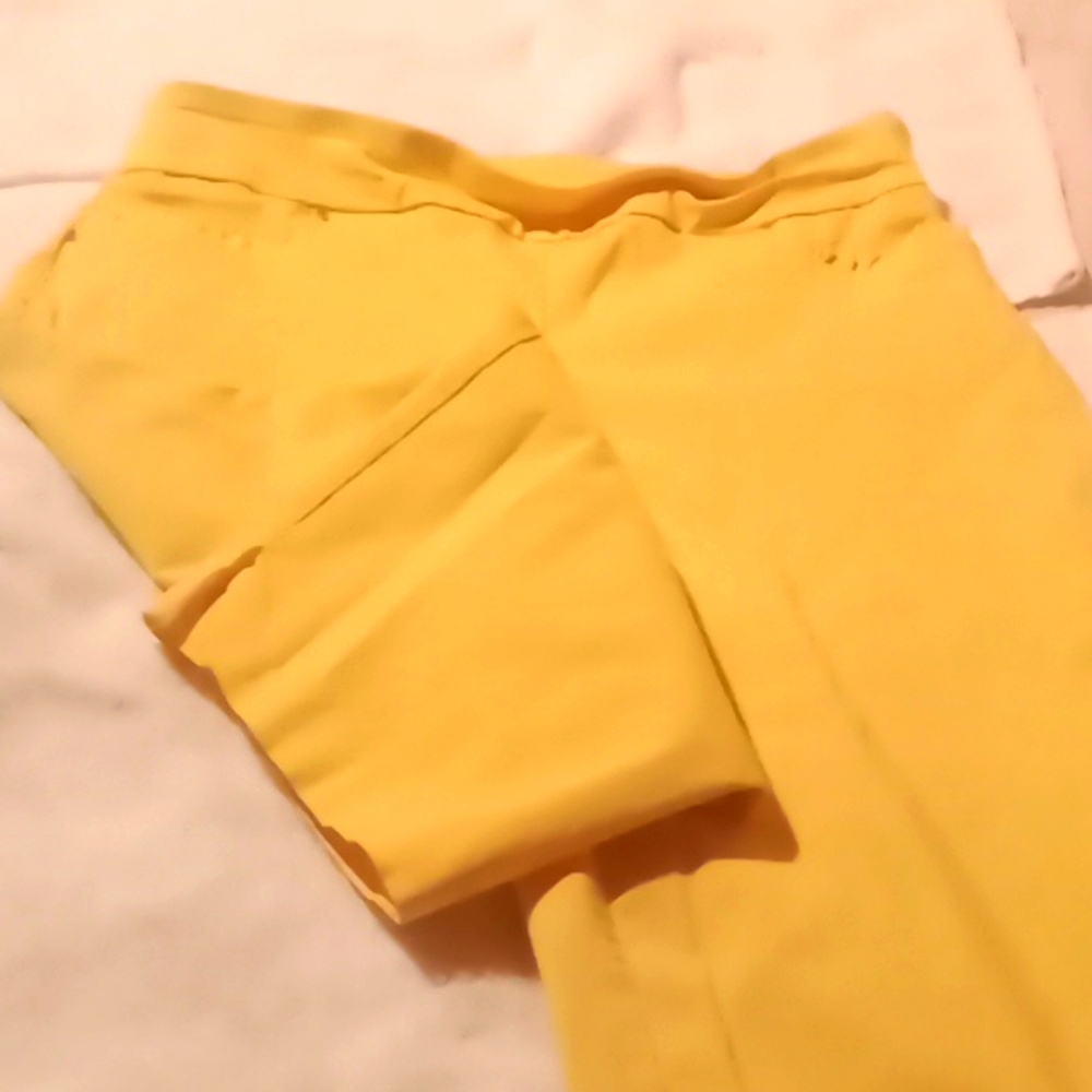 Capri pants
